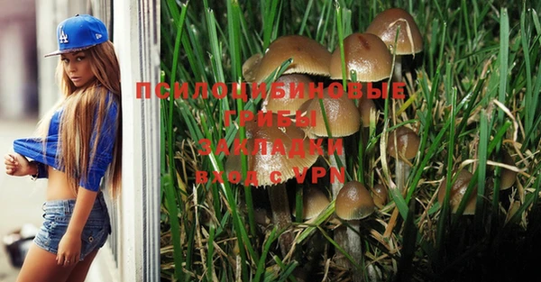 индика Алексеевка