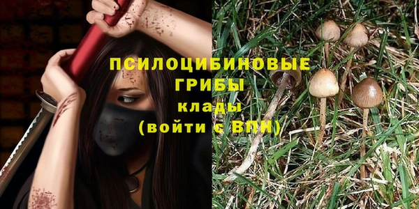 spice Алексин
