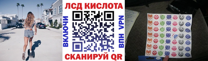 где купить   Судак  Марки NBOMe 1,5мг 