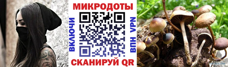 Псилоцибиновые грибы GOLDEN TEACHER  где купить наркоту  Судак 