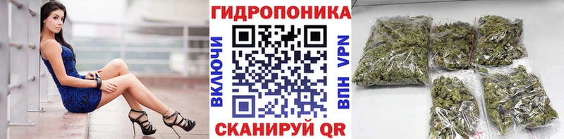 купить наркотик  Судак  Бошки марихуана конопля 